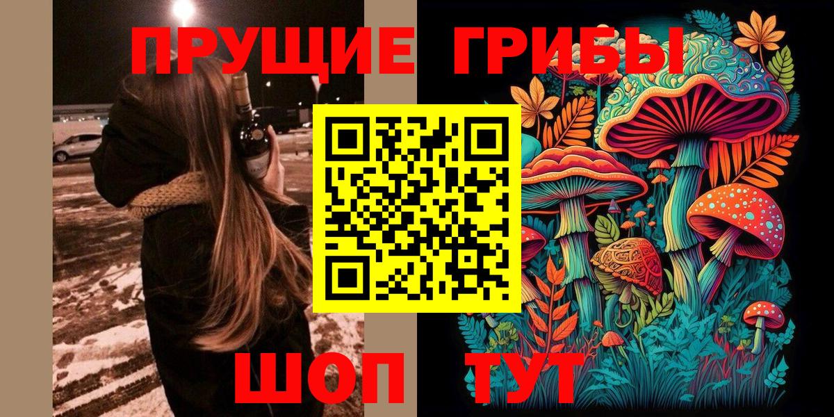 Псилоцибиновые грибы ЛСД Хабаровск