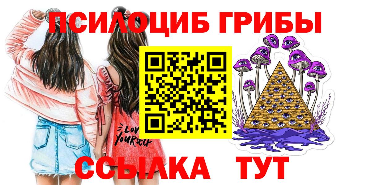 Псилоцибиновые грибы Psilocybe  Вход с VPN  Хабаровск 