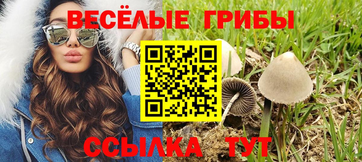 A-PVP Хабаровск